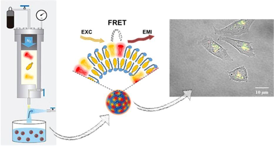 Dye-Loaded Quatsomes Exhibiting FRET as Nanoprobes for Bioimaging