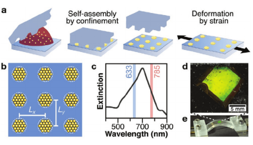 Mechanically Tunable Lattice-Plasmon Resonances by Templated Self-Assembled Superlattices for Multi-Wavelength Surface-Enhanced Raman Spectroscopy