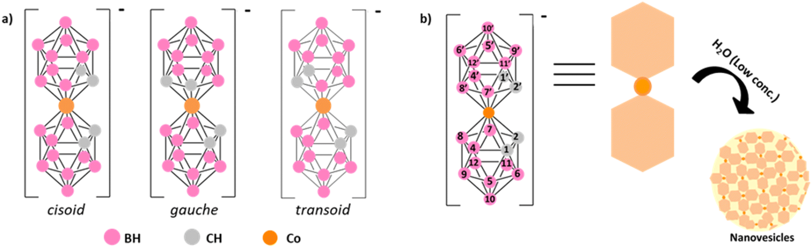 Single stop analysis of a protein surface using molecular probe electrochemistry