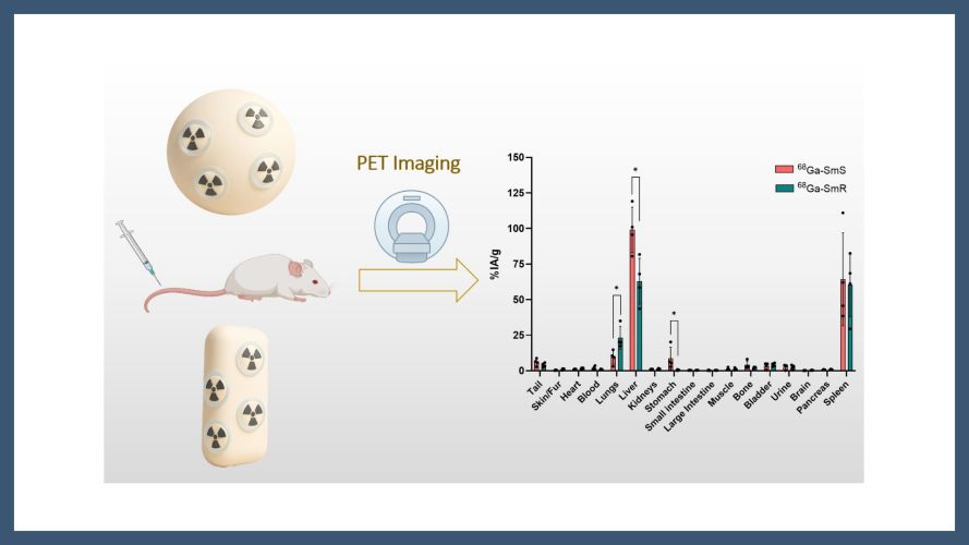 Comparative in vivo PET imaging of silica microparticles: shape-dependent blood circulation and short-term biodistribution
