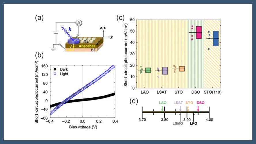 Grain boundaries and the photoresponse of epitaxial La⁢Fe⁢O3 films