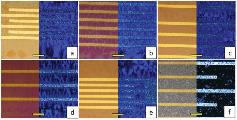 Organic Field-Effect Transistors Based on Ternary Blends Including a Fluorinated Polymer for Achieving Enhanced Device Stability