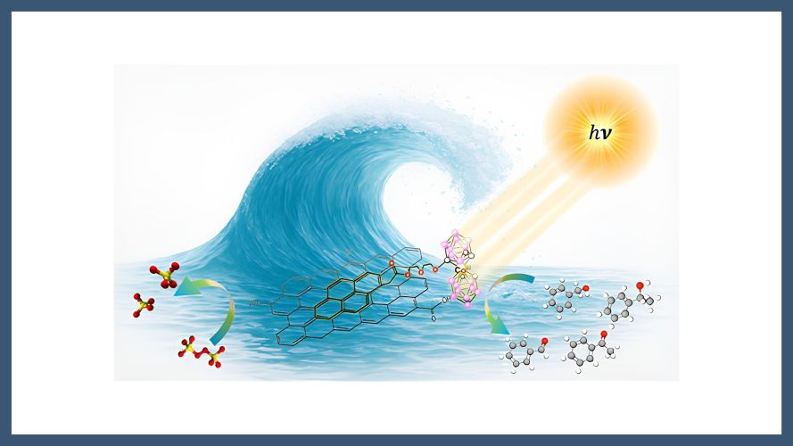 Pyrene-Functionalized o-COSAN Noncovalently Anchored onto Graphene Oxide for Advanced Photocatalytic Alcohol Oxidation