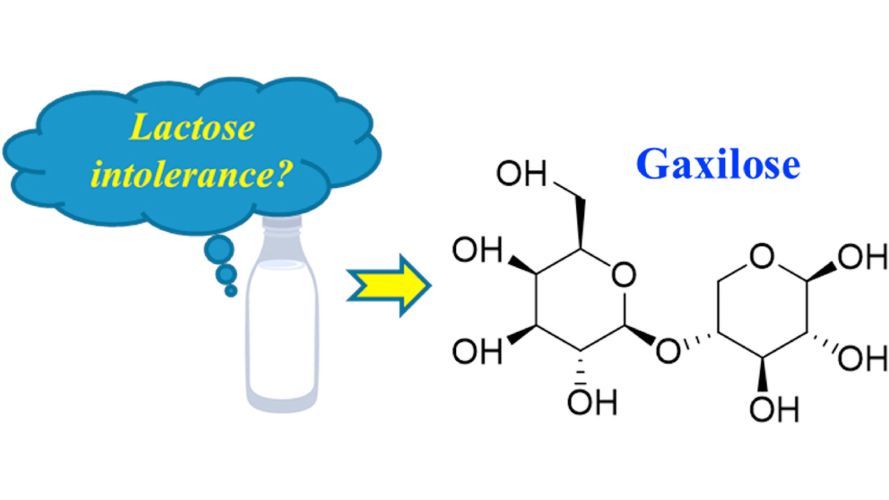 Characterization of crystalline forms of gaxilose, a diagnostic drug