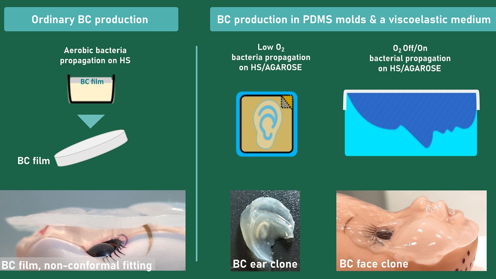 In situ shaping of intricated 3D bacterial cellulose constructs using sacrificial agarose and diverted oxygen inflow