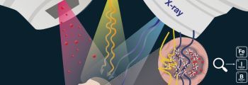 Cover in the Journal of Materials Chemistry B  by graphic designer Carol Briceño