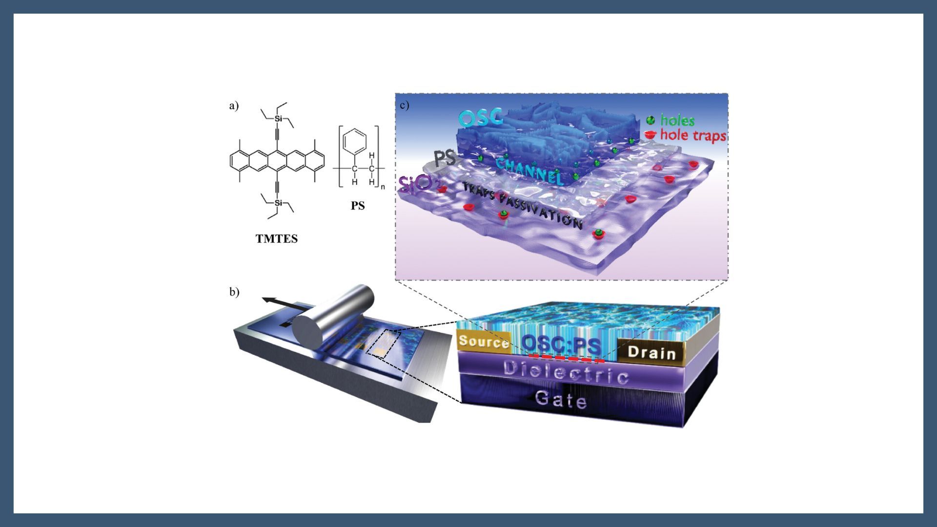 Vertical Phase Separation in Blended Organic Semiconducting Films and Impact on Their Electrical and Direct X-Ray Detection Properties
