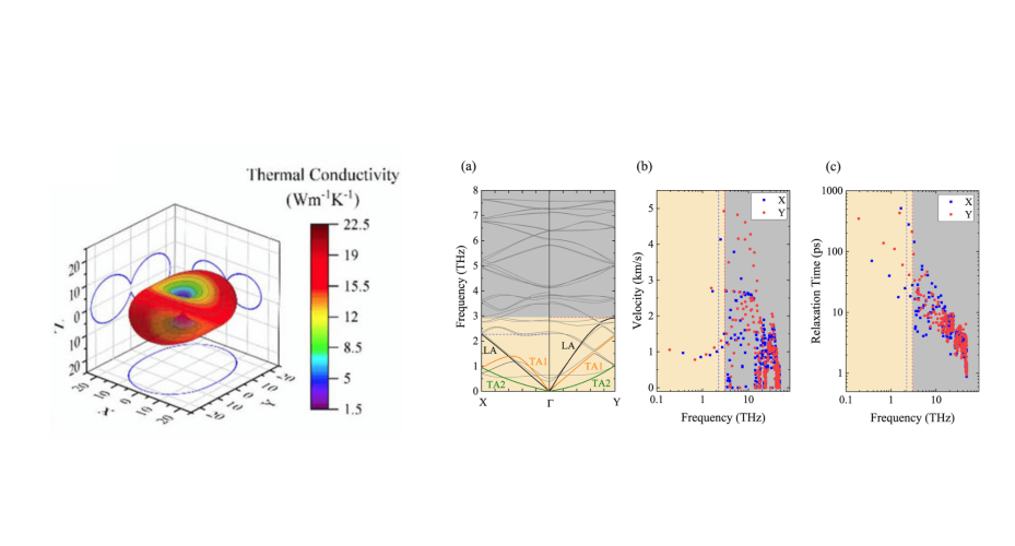 Unravelling the origin of thermal anisotropy in PdSe2