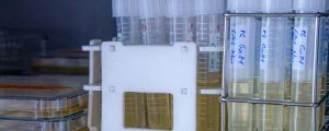 Bacterial nanocellulose samples at the NN Lab