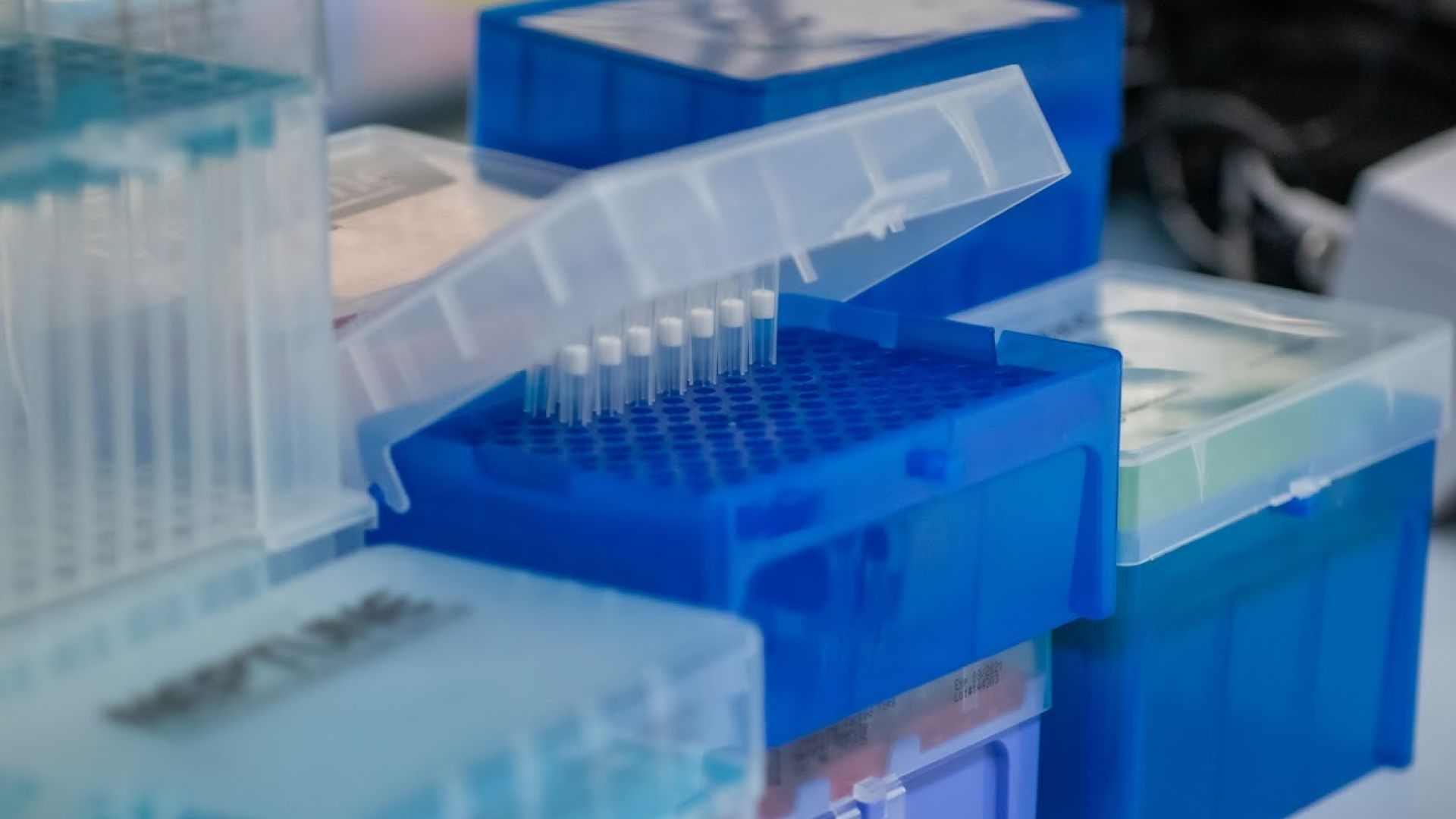 Pipettes | ICMAB, CSIC