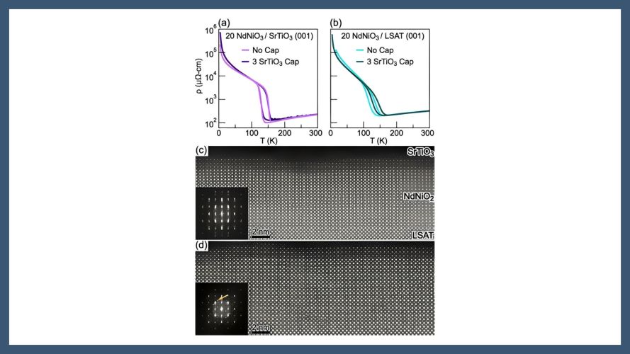Superconductivity in the Parent Infinite-Layer Nickelate NdNiO2