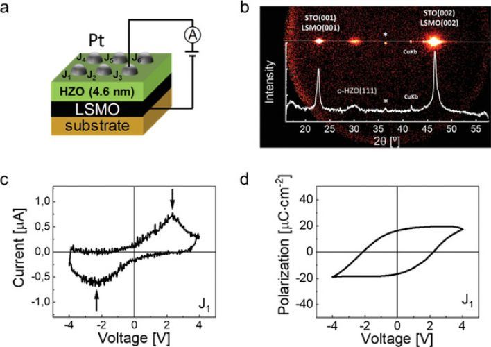 ICMAB - Unraveling Ferroelectric Polarization and Ionic Contributions ...