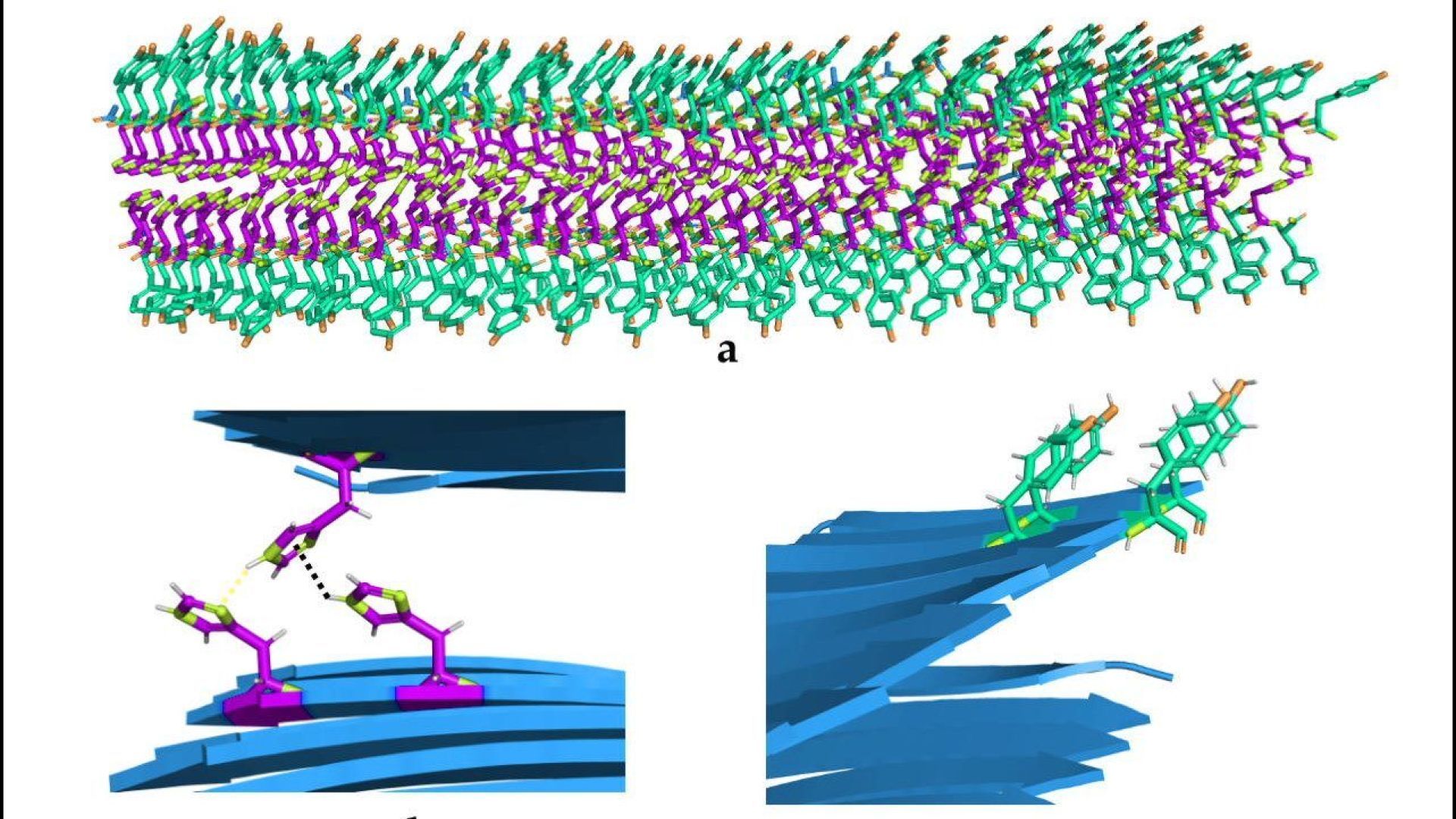 A) Spatial organisation of the catalytic biostructures. B) and C) Detail of the two types of amino acids and their interactions.