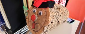Our Tió de Nadal | ICMAB, CSIC