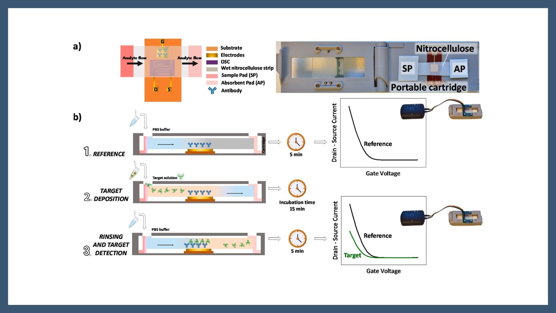 Portable electrolyte-gated organic field-effect transistor platform for enabling ultrasensitive and rapid detection of hepatitis B and C