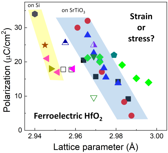 Disentangling stress and strain effects in ferroelectric HfO2