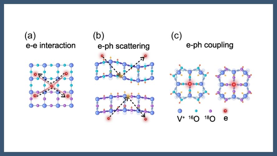 Oxygen Isotope Fingerprints of Electron-Phonon Coupling in SrVO3 Films
