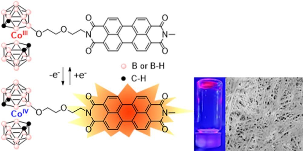 Reversibly switchable fluorescent molecular systems based on metallacarborane‐perylenediimide conjugates