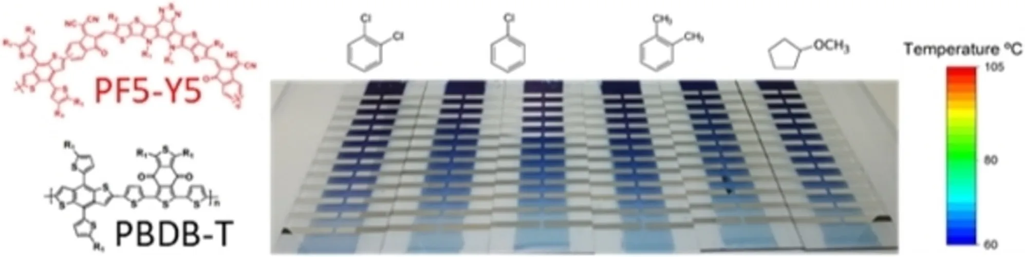 High-Throughput Screening of Blade-Coated Polymer:Polymer Solar Cells: Solvent Determines Achievable Performance