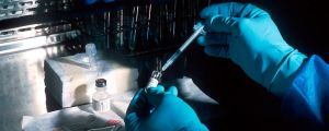 Hands of a scientist, under a sterile hood, preparing a vaccine  / National Cancer Institute