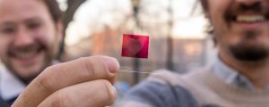 Mariano Campoy-Quiles and Aleksandr Perevedentsev, founders of Molecular Gate S.L. CSIC spin-off, showing the anti-counterfeiting technology | ICMAB-CSIC