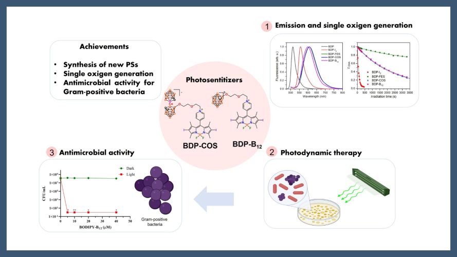 Anionic Boron-Cluster BODIPY Conjugates As Promising Photosensitizers for Targeted Antimicrobial Photodynamic Therapy