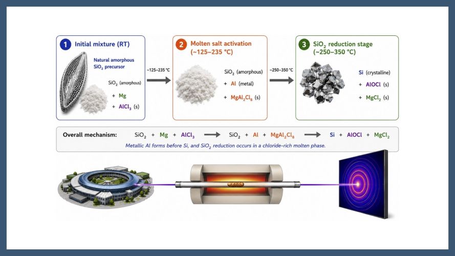 Low-temperature synthesis of silicon anodes from biosilica via AlCl3-assisted magnesiothermic reduction