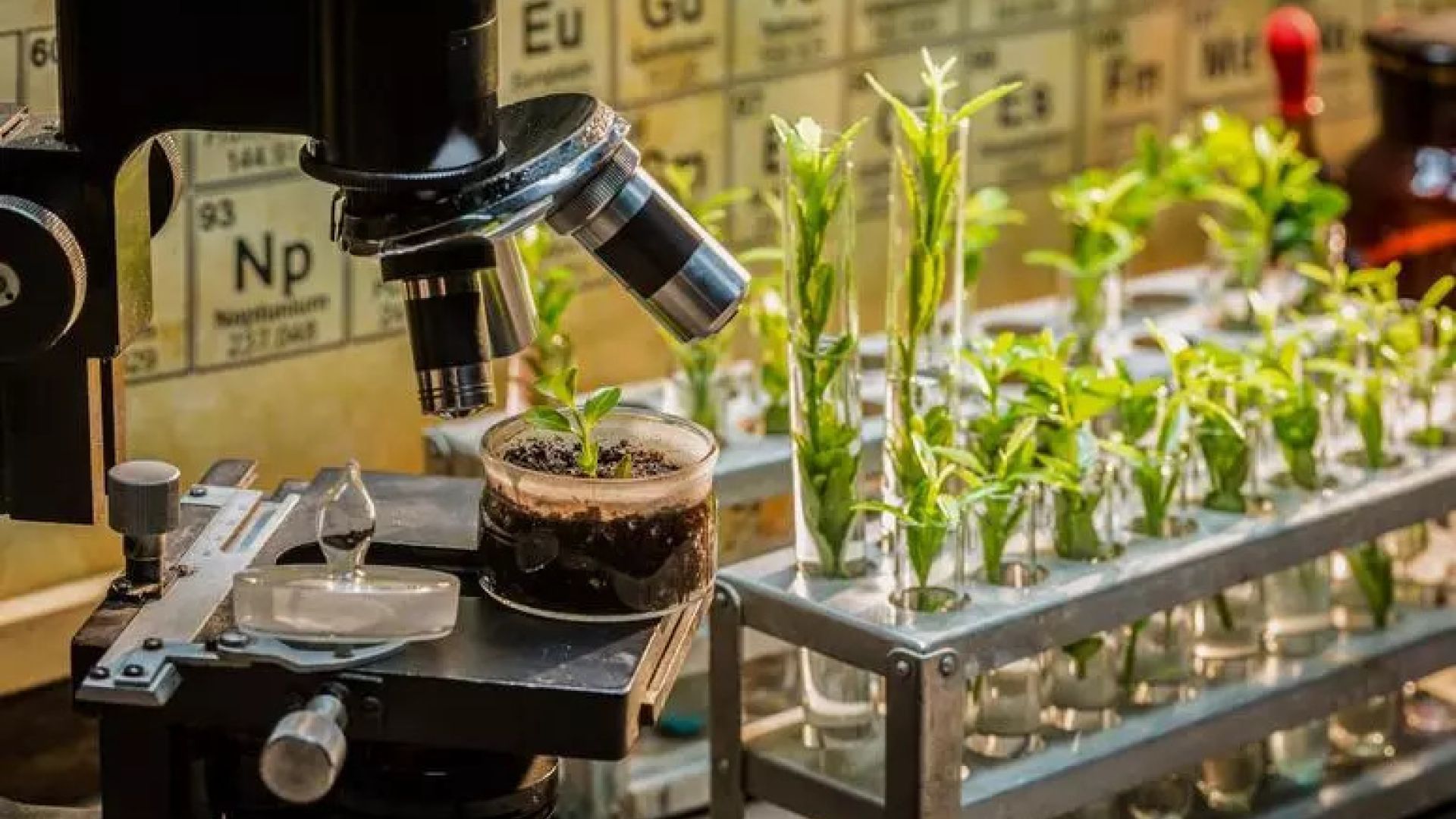 Environmental research | GETTY IMAGES