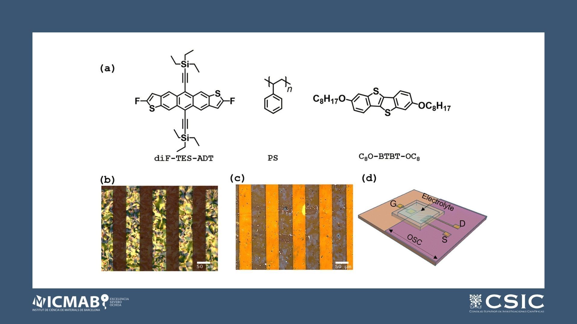 Influence of mechanical stress on flexible electrolyte-gated organic field-effect transistors