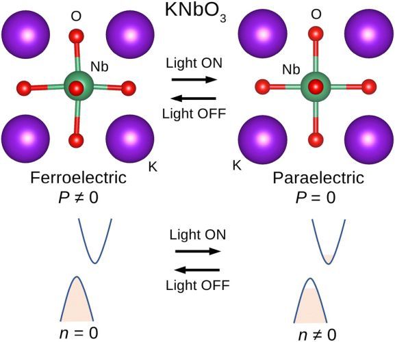 Light-driven dynamical tuning of the thermal conductivity in ferroelectrics