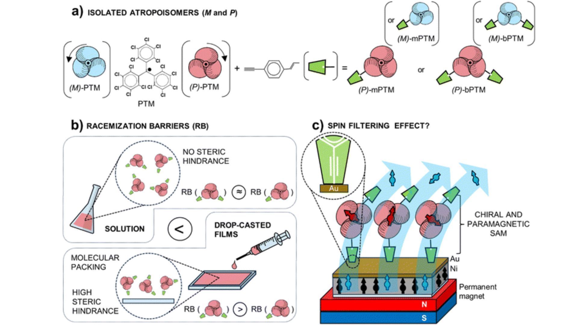 Interrogating the CISS effect in chiral and paramagnetic organic radicals: the impact of the molecular spin over the total spin polarization