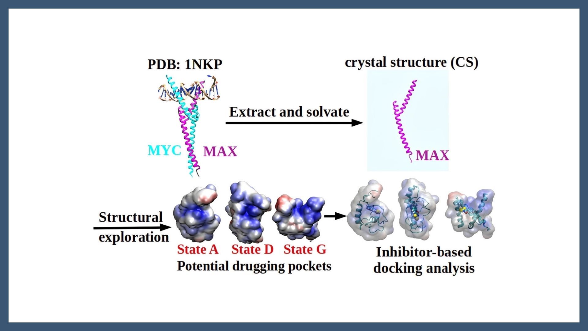 Probing the Structural Dynamics of the Unbound MAX Protein: Insights from Well-Tempered Metadynamics