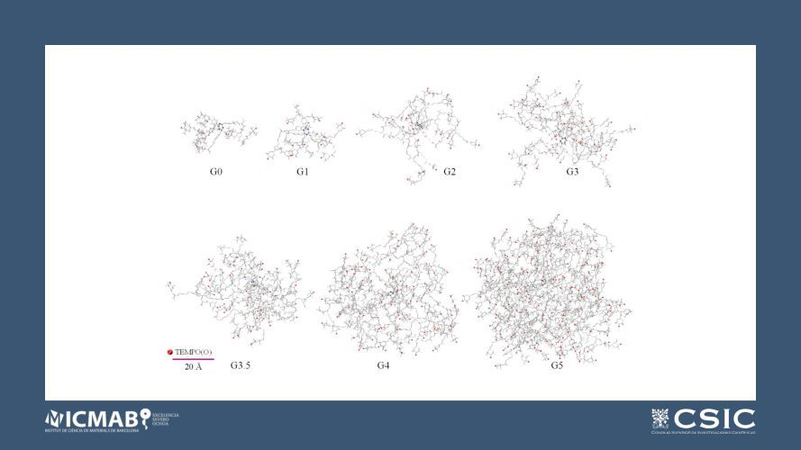 Synthesis and Relaxivity study of amino acid-branched radical dendrimers as MRI contrast agents for potential brain tumor imaging