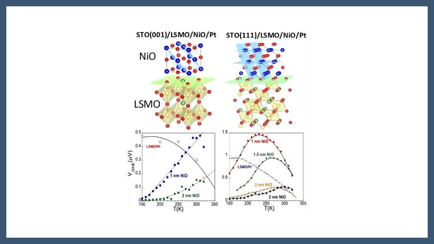 Crystallographic Engineering of Spin Transport in Antiferromagnetic NiO Thin Films