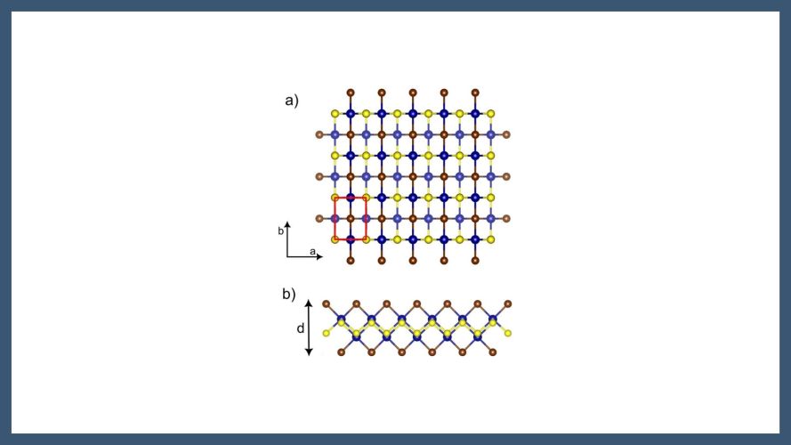 Thermal Conductivity and Tunable Thermal Anisotropy of Magnetic CrSBr Monolayer