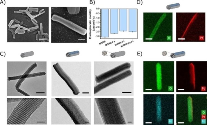 Nanorods Based on Mesoporous Silica Containing Iron Oxide Nanoparticles as Catalytic Nanomotors: Study of Motion Dynamics