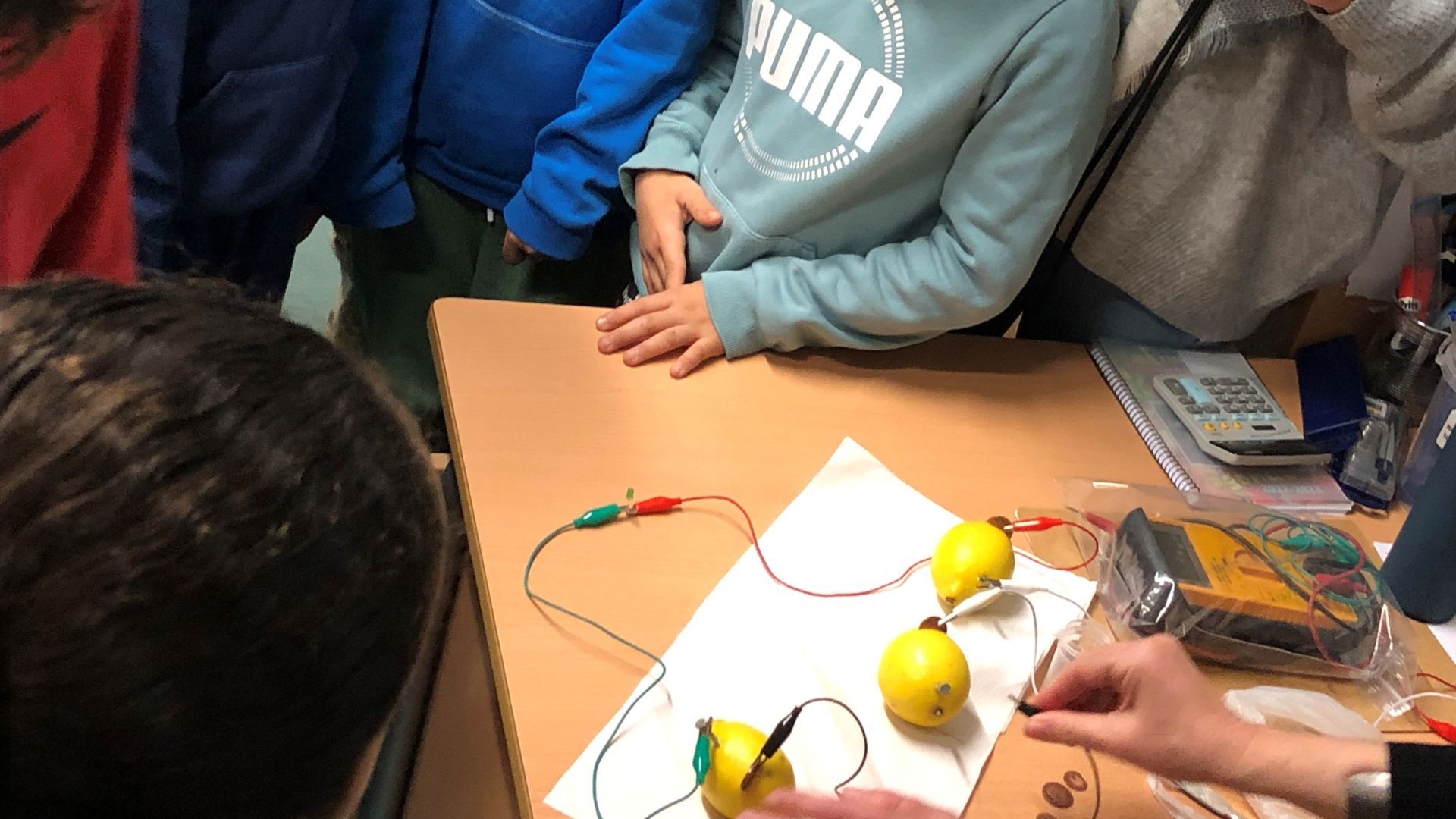 Lemon batteries with M. Rosa Palacín