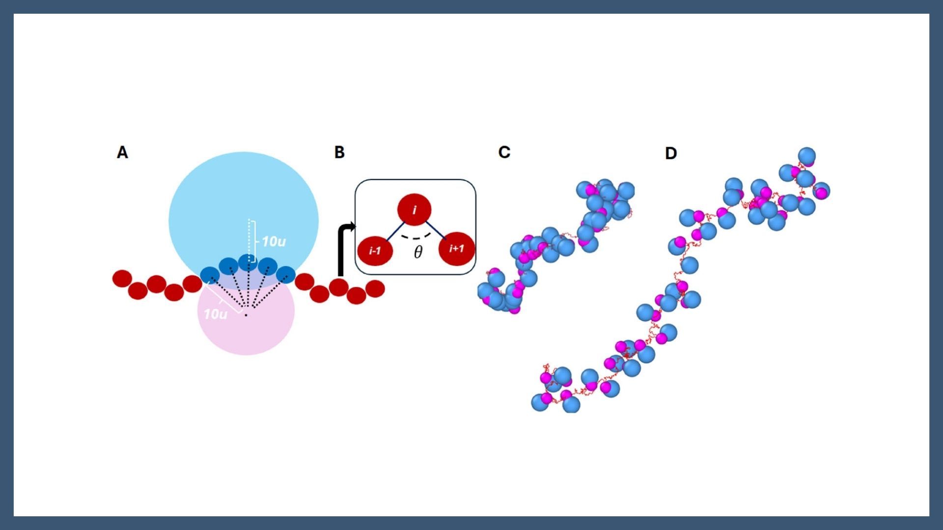 Self-induced dimensional reduction and scaling transition of mRNA in polysomes: A multiscale simulation study