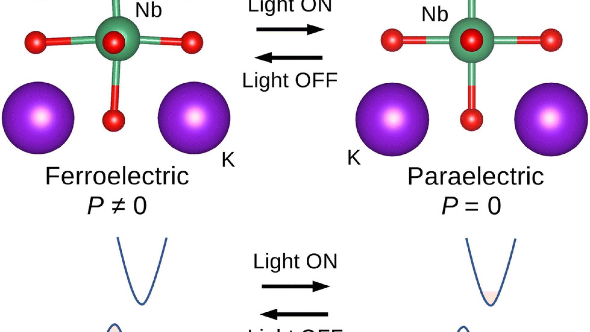 Light-driven dynamical tuning of the thermal conductivity in ferroelectrics