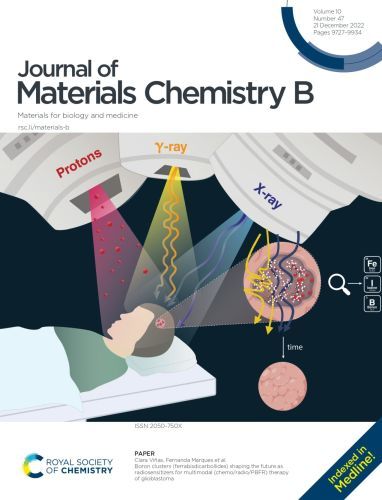 Boron clusters (ferrabisdicarbollides) shaping the future as radiosensitizers for multimodal (chemo/radio/PBFR) therapy of glioblastoma