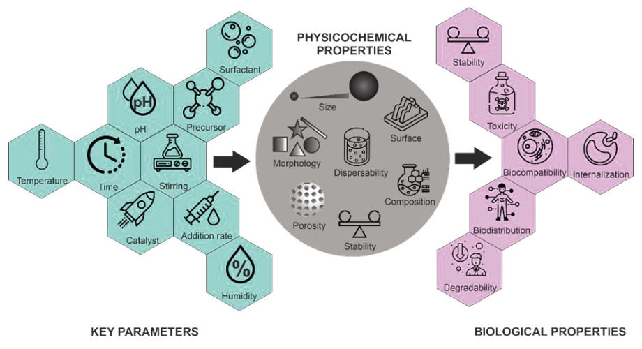 Key Parameters for the Rational Design, Synthesis, and Functionalization of Biocompatible Mesoporous Silica Nanoparticles